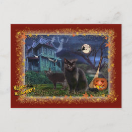 Halloween Cats Vykort