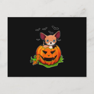 Halloween Chihuahua Hundälskare Pumpkin Grunge Jac Helg Vykort