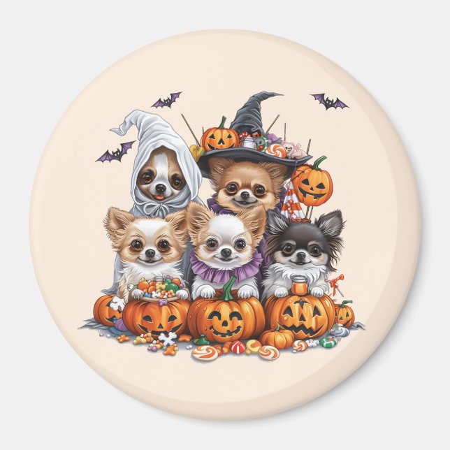 Halloween Chihuahua Hundar Magnet (Framsidan)