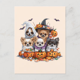 Halloween Chihuahua Hundar Vykort