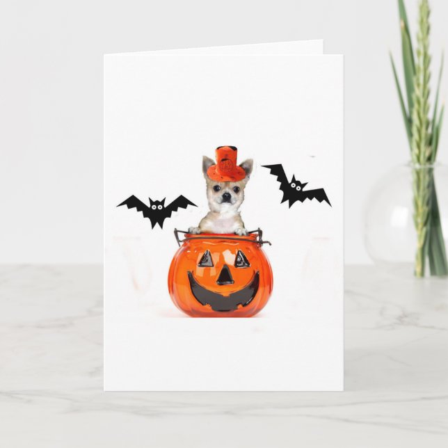 Halloween Chihuahuahund Kort (Framsida)