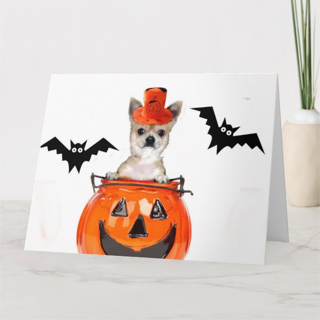 Halloween Chihuahuahund Kort (Framsida)