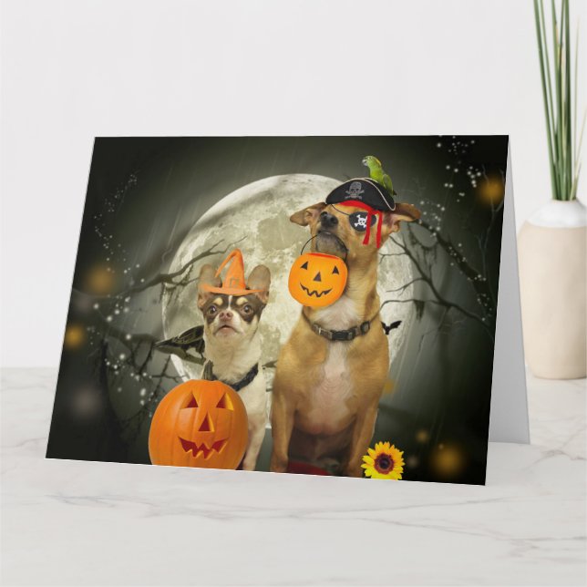 Halloween chihuahuas kort (Framsida)