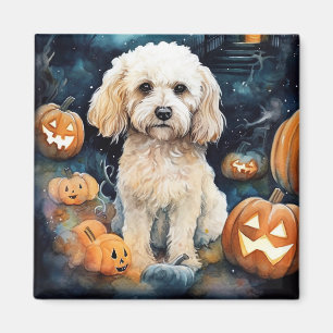 Halloween Cockapoo Med Pumpa Skräck Magnet