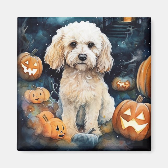Halloween Cockapoo Med Pumpa Skräck  Magnet (Framsidan)