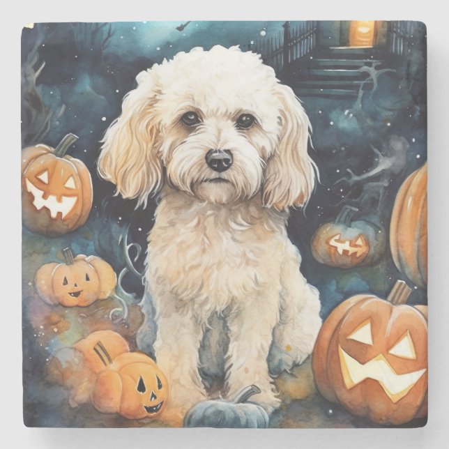 Halloween Cockapoo Med Pumpa Skräckinjagande Stenunderlägg (Framsidan)