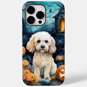 Halloween Cockapoo med pumpor Scary