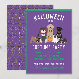 Halloween Costume Party Hundar Black Cat Inbjudningar