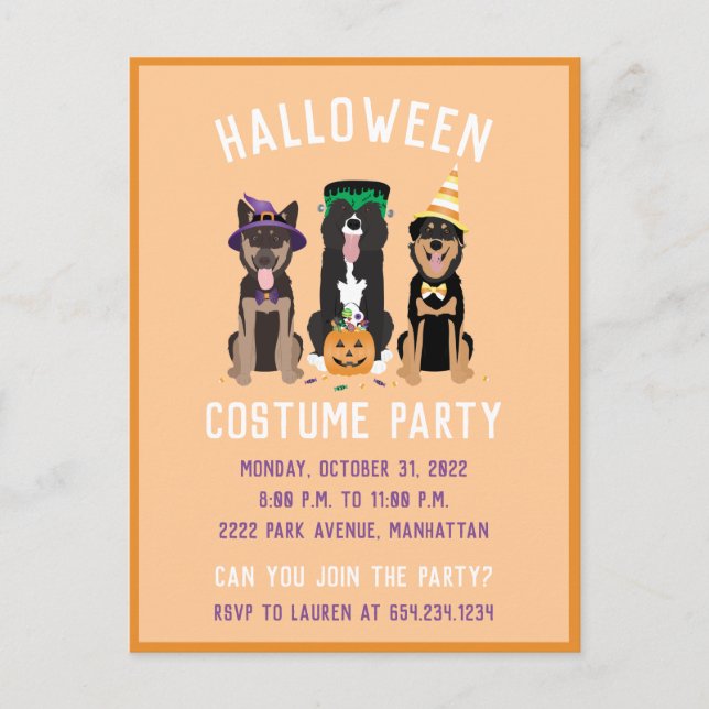 Halloween Costume Party Hundar Inbjudan Vykort (Framsida)