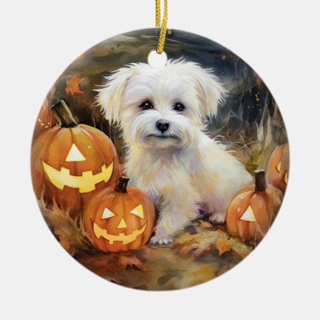Halloween Coton de Tulear med påssjuka Julgransprydnad Keramik (Framsidan)