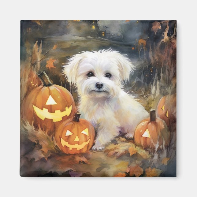 Halloween Coton de Tulear med påssjuka Magnet (Framsidan)