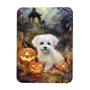 Halloween Coton de Tulear med påssjuka Magnet