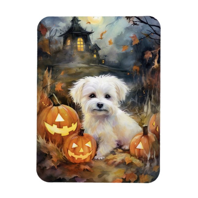 Halloween Coton de Tulear med påssjuka Magnet (Vertikal)