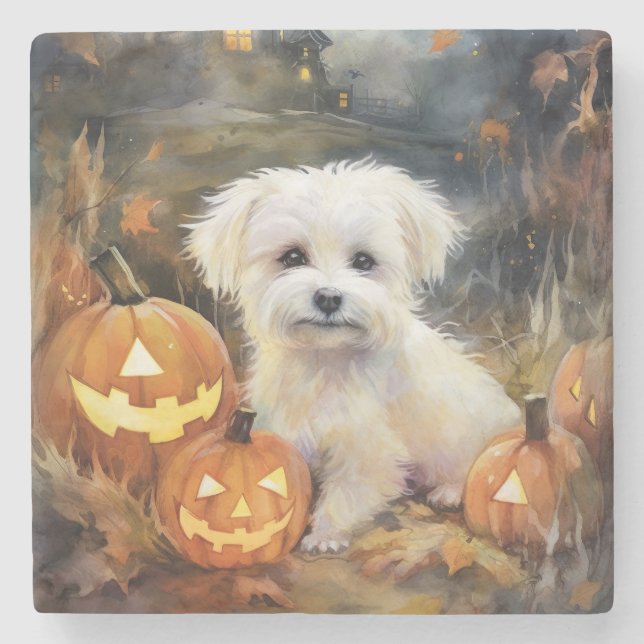 Halloween Coton de Tulear med påssjuka Stenunderlägg (Framsidan)