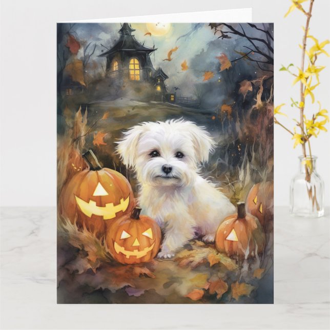 Halloween Coton De Tulear Med Pumpa Skräckinjagand Kort (Gul blomma)
