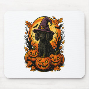 Halloween Cute Black Pudel Witch Hat Pumpkins Aut Musmatta