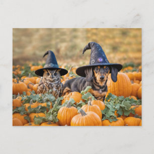 Halloween Dachshund och Uggla Funny Helg Vykort