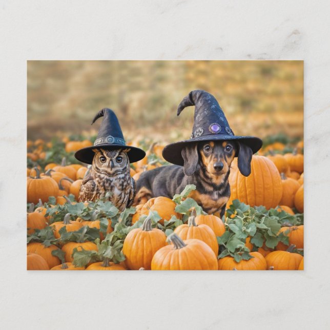 Halloween Dachshund och Uggla Funny Helg Vykort (Framsida)