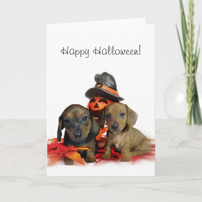 Halloween Dachshund-valpar Kort (Framsida)