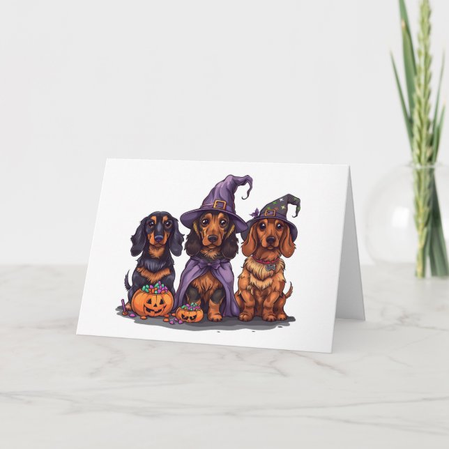 Halloween Dachshund Witch Hundar Kort (Framsida)