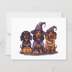 Halloween Dachshund Witch Hundar Vykort