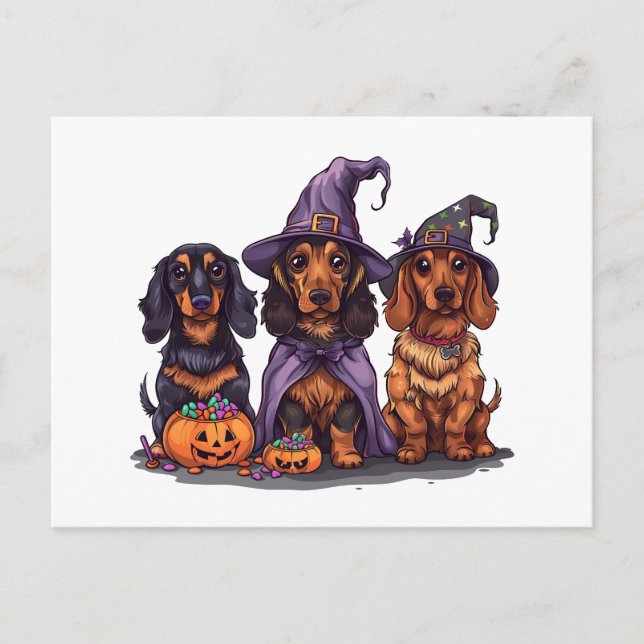 Halloween Dachshund Witch Hundar Vykort (Framsida)