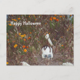 Halloween Dekoration Fake Skeleton i Marigolds Vykort