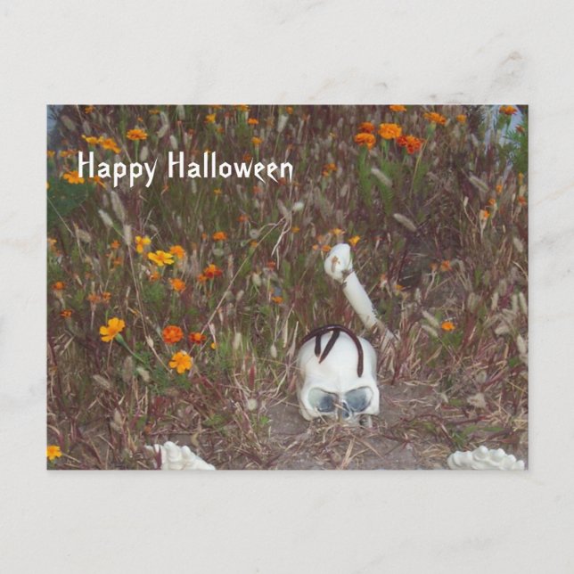 Halloween Dekoration Fake Skeleton i Marigolds Vykort (Framsida)