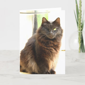 Halloween-En synade den svart katten Kort