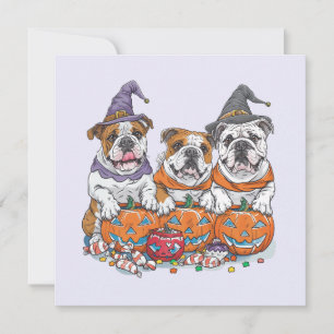 Halloween engelska bulldoggar pumpa inbjudningar