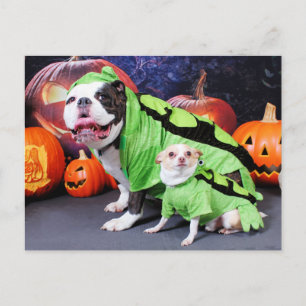 Halloween English Bulldog Spike - Chihuahua Gizmo Vykort
