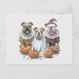 Halloween English Bullhund Pumpkin Vykort