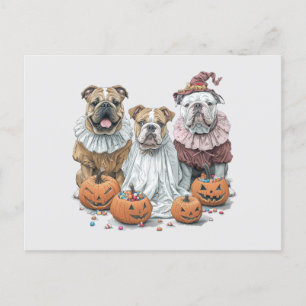 Halloween English Bullhund Pumpkin Vykort