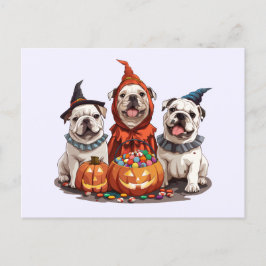 Halloween English Bullhund Pumpkin Vykort