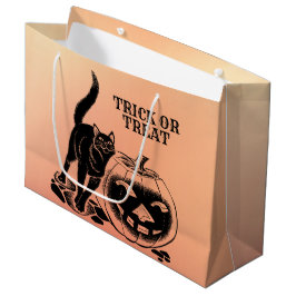 Halloween fest Black Cat Pumpkin Orange Scary