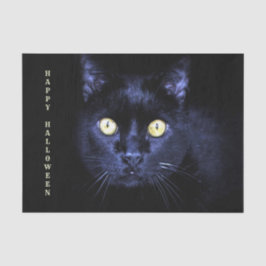 Halloween fest Scary Black Cat Horror Natten