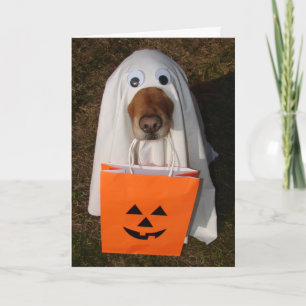 Halloween fester med spökehunden och Goodie hänger Kort