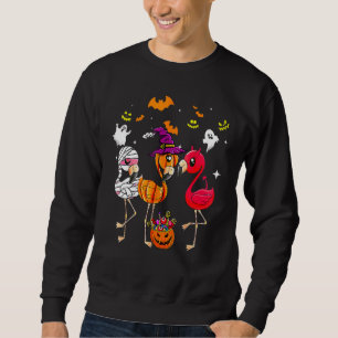 Halloween Flamingo Flamingoween Häxa Vampire Mumie Lång Ärmad Tröja