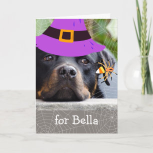 Halloween för mordotter Rottweiler och Spider Kort