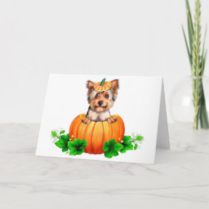 Halloween för Yorkshire Terrier jack o lantern Kort
