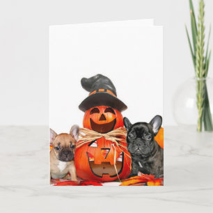 Halloween franskbulldoggar kort