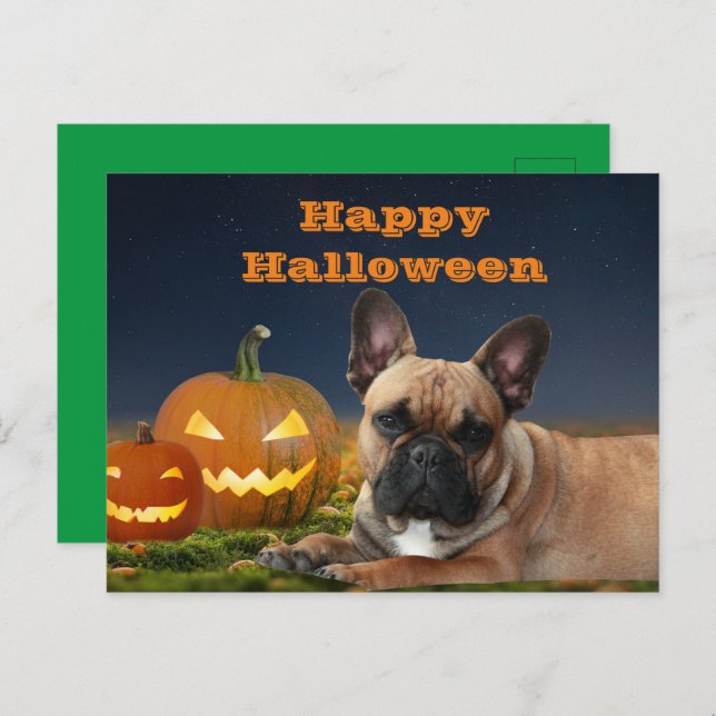 Halloween französische Bulldogge French Bulldog Vykort (Fram/baksida)