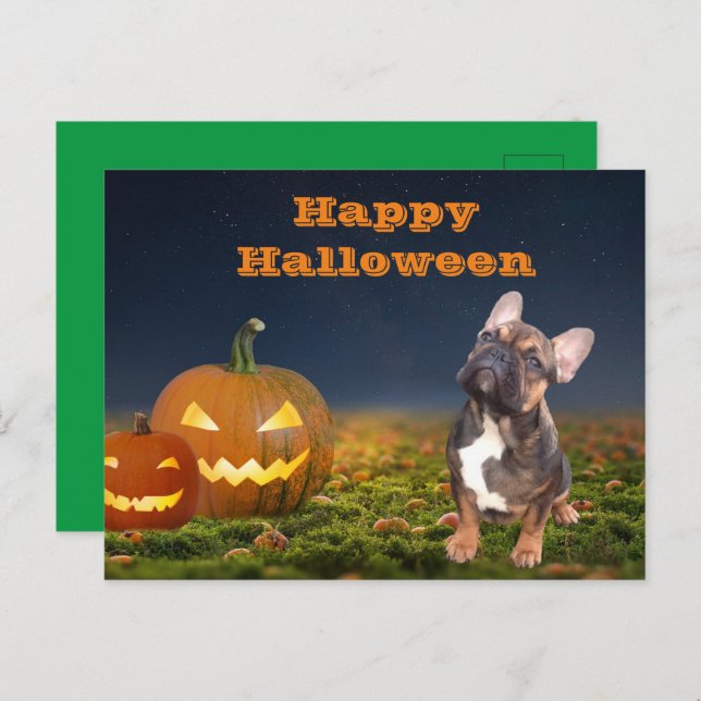 Halloween französische Bulldogge Postkarte Vykort (Fram/baksida)
