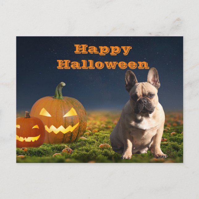 Halloween französische Bulldogge Postkarte Vykort (Framsida)