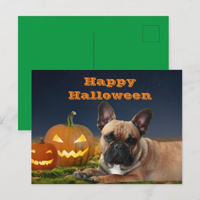 Halloween französische Bulldogge Postkarte Vykort (Fram/baksida)