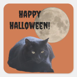Halloween Full Moon Black Cat Fyrkantigt Klistermärke