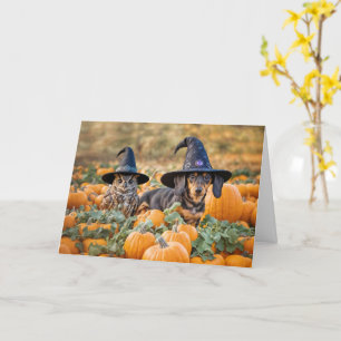 Halloween Funny med Cute Uggla och Dachshund Kort
