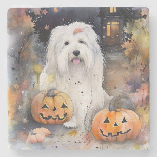 Halloween Gammal Engelsk Fårhund Med Pumpor Skräck Stenunderlägg