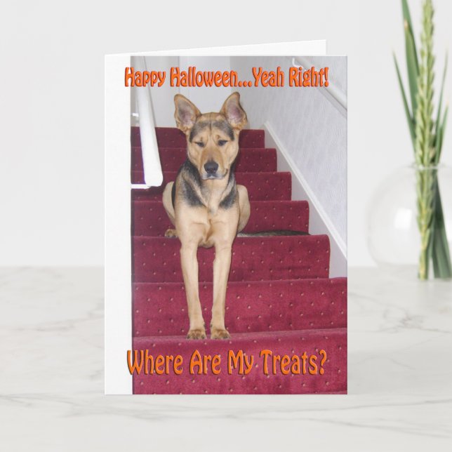 Halloween German Shepherd Hund Ledsen No Treats Helgkort (Framsida)