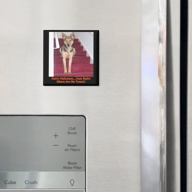 Halloween German Shepherd Hund No Treats Magnet (In Situ (Fridge))